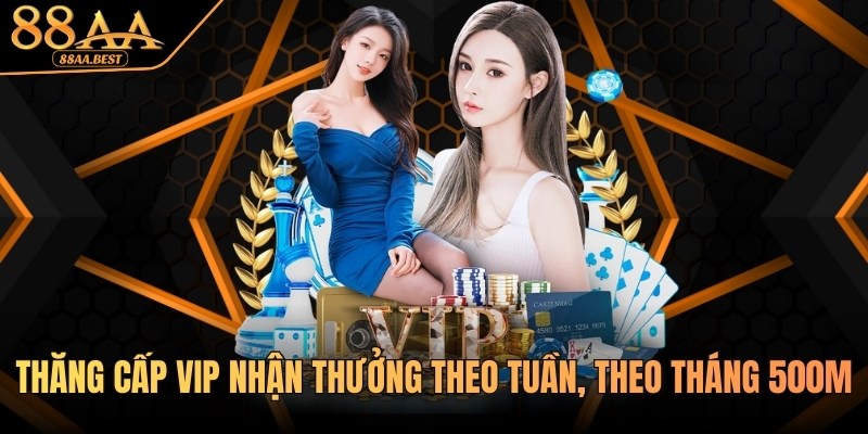 Thăng cấp VIP 88AA